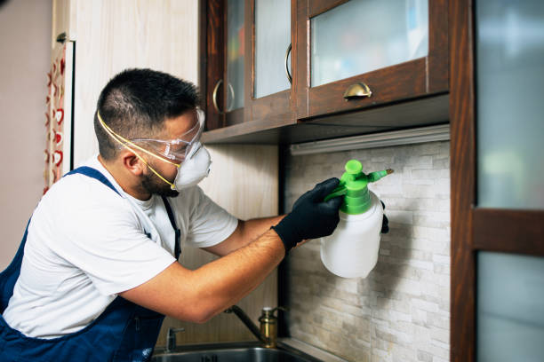 Pest Prevention Services in Romulus, MI