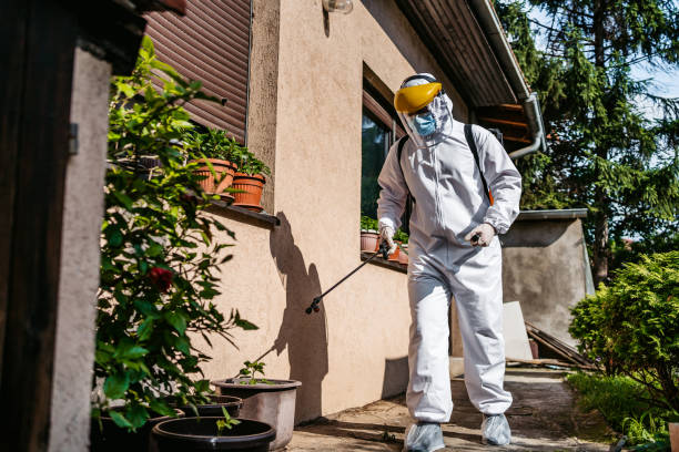 Best Mosquito Control Services  in Romulus, MI
