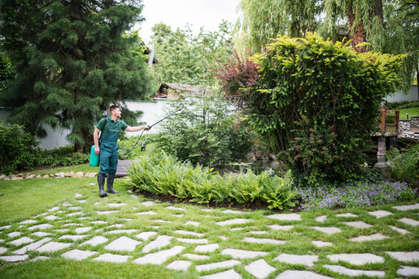 Best Affordable Pest Control Services  in Romulus, MI