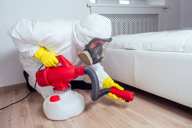 Best Pest Control Near Me in Romulus, MI