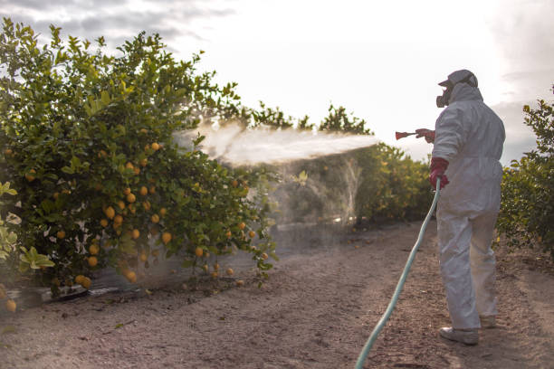 Best Pest Removal Services  in Romulus, MI
